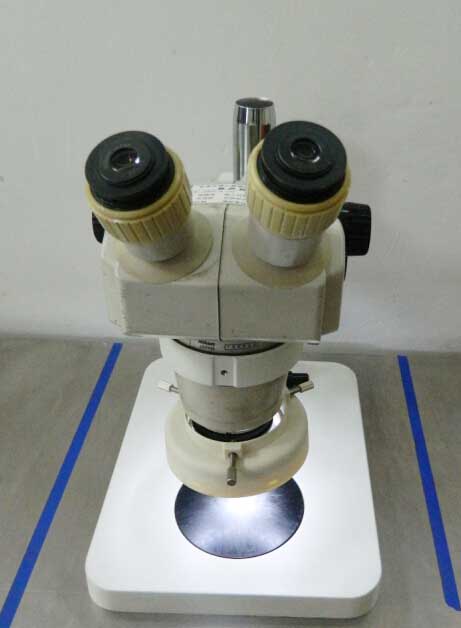 Microscope